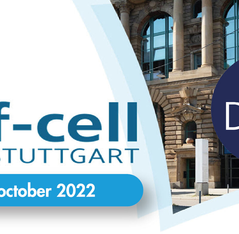 dam group F-cell 2022